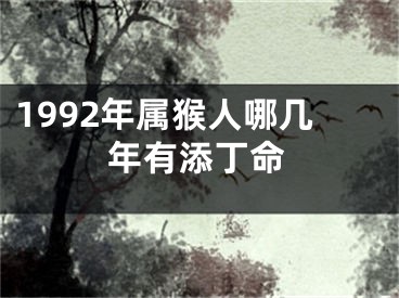 1992年属猴人哪几年有添丁命