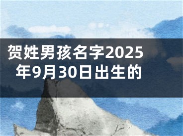贺姓男孩名字2025年9月30日出生的