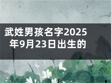 武姓男孩名字2025年9月23日出生的