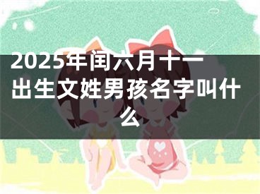 2025年闰六月十一出生文姓男孩名字叫什么