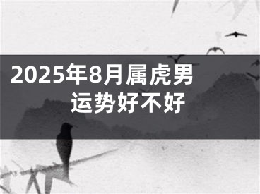 2025年8月属虎男运势好不好