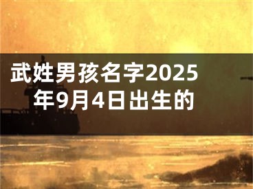 武姓男孩名字2025年9月4日出生的