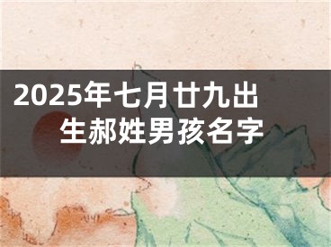 2025年七月廿九出生郝姓男孩名字