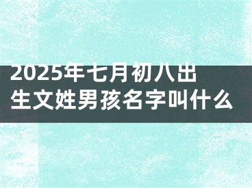 2025年七月初八出生文姓男孩名字叫什么