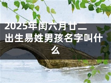 2025年闰六月廿二出生易姓男孩名字叫什么
