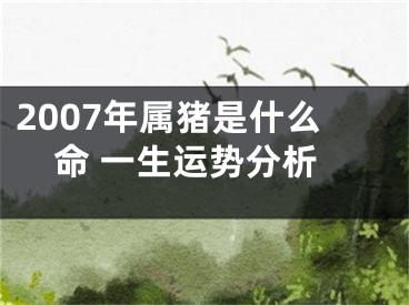2007年属猪是什么命 一生运势分析