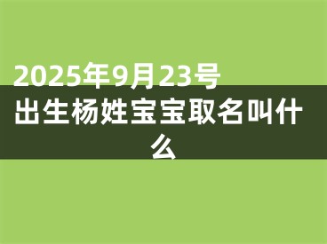 2025年9月23号出生杨姓宝宝取名叫什么