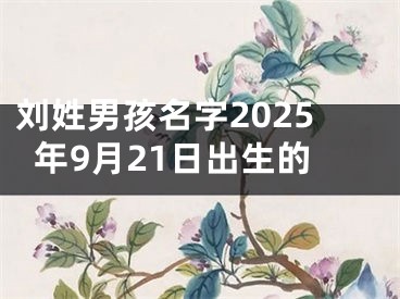 刘姓男孩名字2025年9月21日出生的