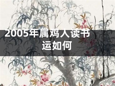 2005年属鸡人读书运如何