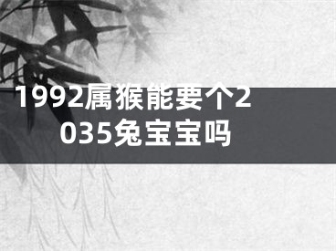 1992属猴能要个2035兔宝宝吗