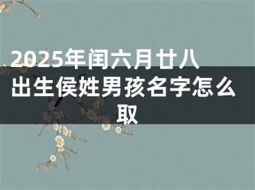 2025年闰六月廿八出生侯姓男孩名字怎么取