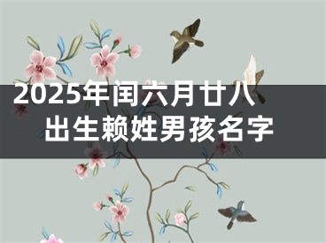 2025年闰六月廿八出生赖姓男孩名字