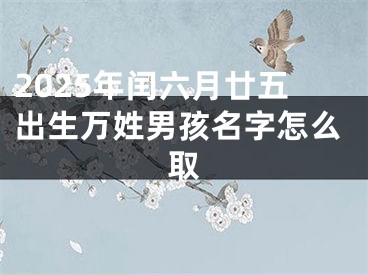 2025年闰六月廿五出生万姓男孩名字怎么取