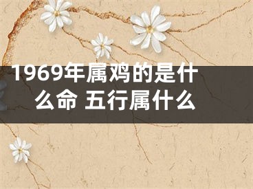 1969年属鸡的是什么命 五行属什么