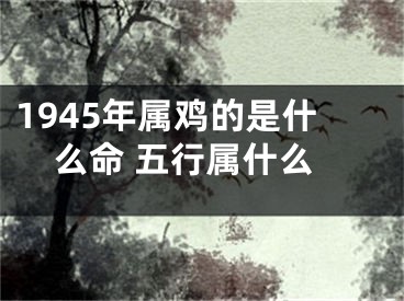 1945年属鸡的是什么命 五行属什么