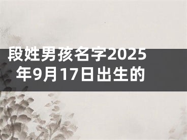 段姓男孩名字2025年9月17日出生的