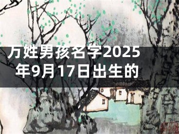 万姓男孩名字2025年9月17日出生的