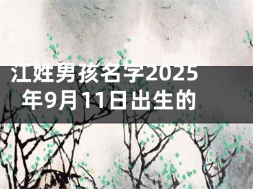 江姓男孩名字2025年9月11日出生的