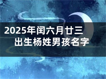2025年闰六月廿三出生杨姓男孩名字
