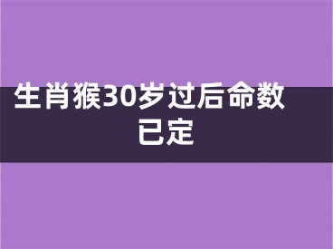 生肖猴30岁过后命数已定