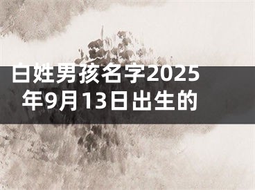 白姓男孩名字2025年9月13日出生的
