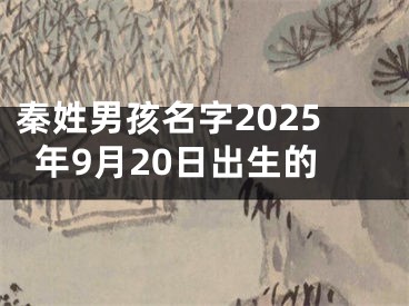 秦姓男孩名字2025年9月20日出生的