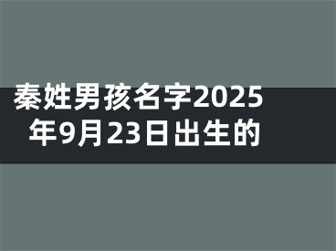 秦姓男孩名字2025年9月23日出生的