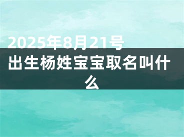 2025年8月21号出生杨姓宝宝取名叫什么