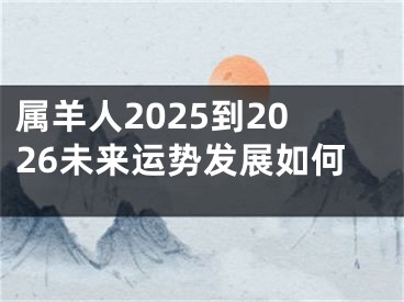 属羊人2025到2026未来运势发展如何