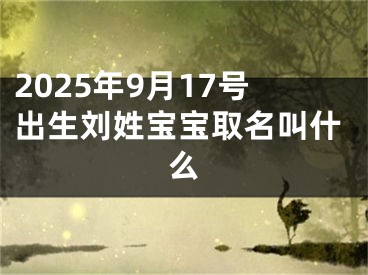 2025年9月17号出生刘姓宝宝取名叫什么