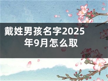 戴姓男孩名字2025年9月怎么取