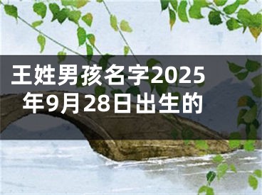 王姓男孩名字2025年9月28日出生的