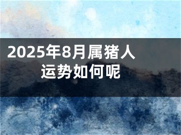 2025年8月属猪人运势如何呢 