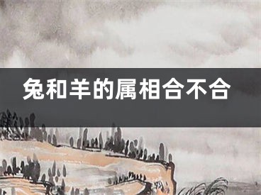 兔和羊的属相合不合