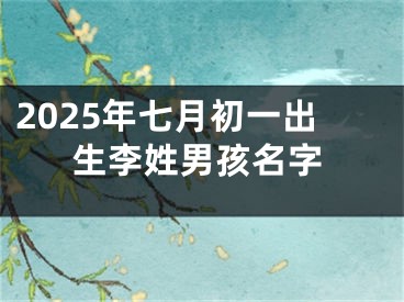 2025年七月初一出生李姓男孩名字