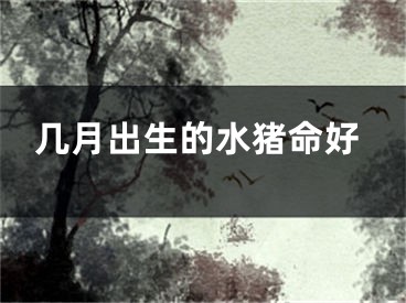 几月出生的水猪命好