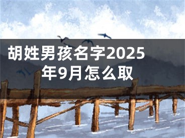胡姓男孩名字2025年9月怎么取