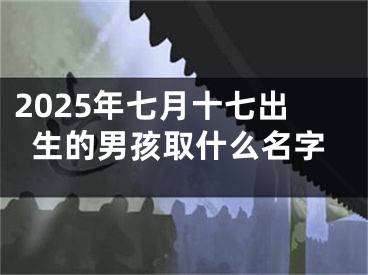 2025年七月十七出生的男孩取什么名字
