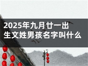 2025年九月廿一出生文姓男孩名字叫什么
