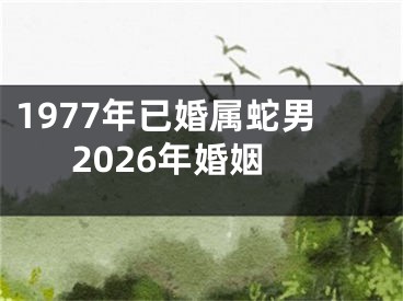 1977年已婚属蛇男2026年婚姻