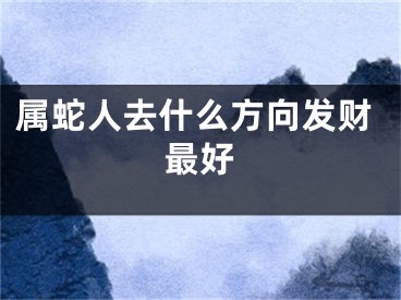属蛇人去什么方向发财最好