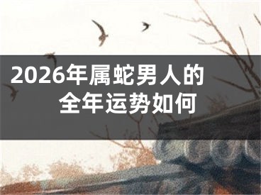 2026年属蛇男人的全年运势如何