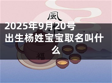 2025年9月20号出生杨姓宝宝取名叫什么