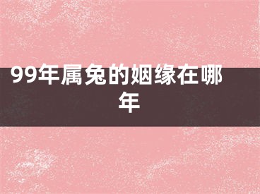 99年属兔的姻缘在哪年