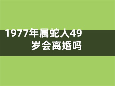 1977年属蛇人49岁会离婚吗