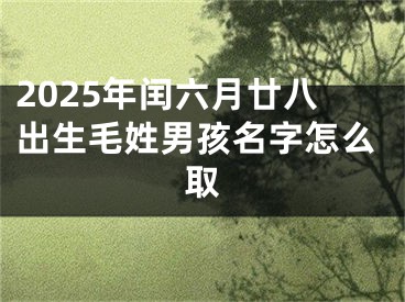 2025年闰六月廿八出生毛姓男孩名字怎么取