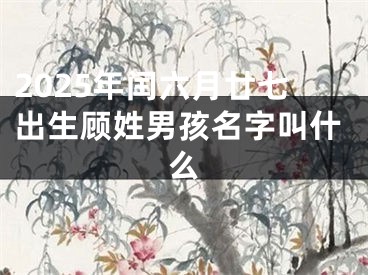 2025年闰六月廿七出生顾姓男孩名字叫什么