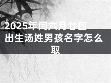 2025年闰六月廿四出生汤姓男孩名字怎么取