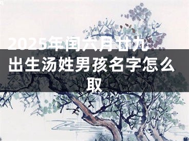 2025年闰六月廿九出生汤姓男孩名字怎么取