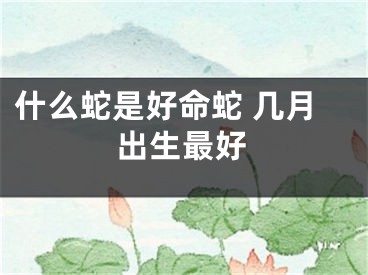 什么蛇是好命蛇 几月出生最好